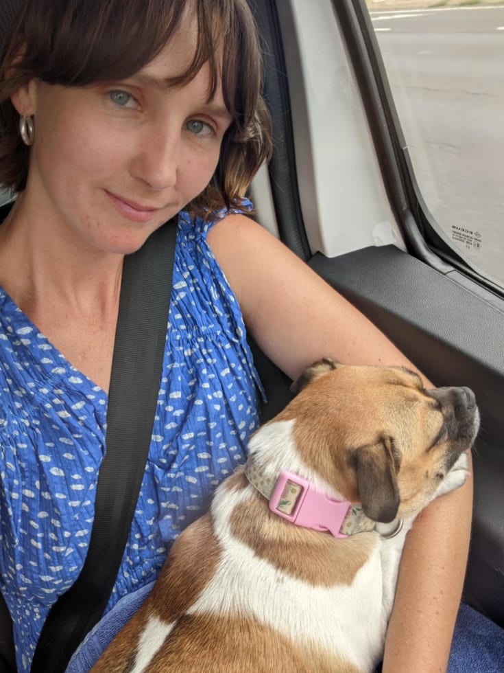 Photo in Sitter's gallery