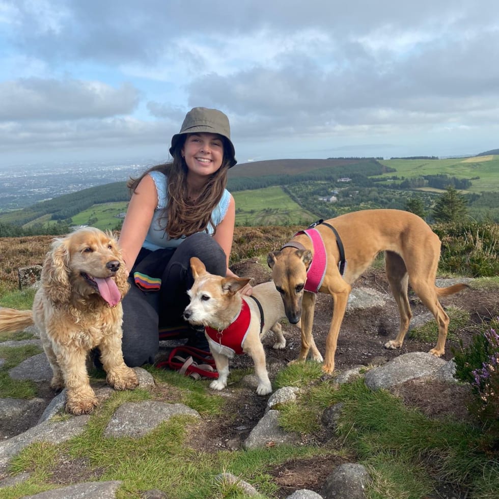 Photo in Sitter's gallery