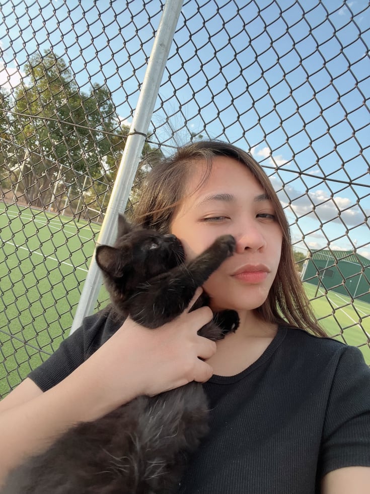 Photo in Sitter's gallery