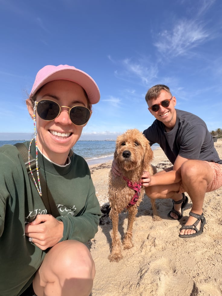 Photo in Sitter's gallery