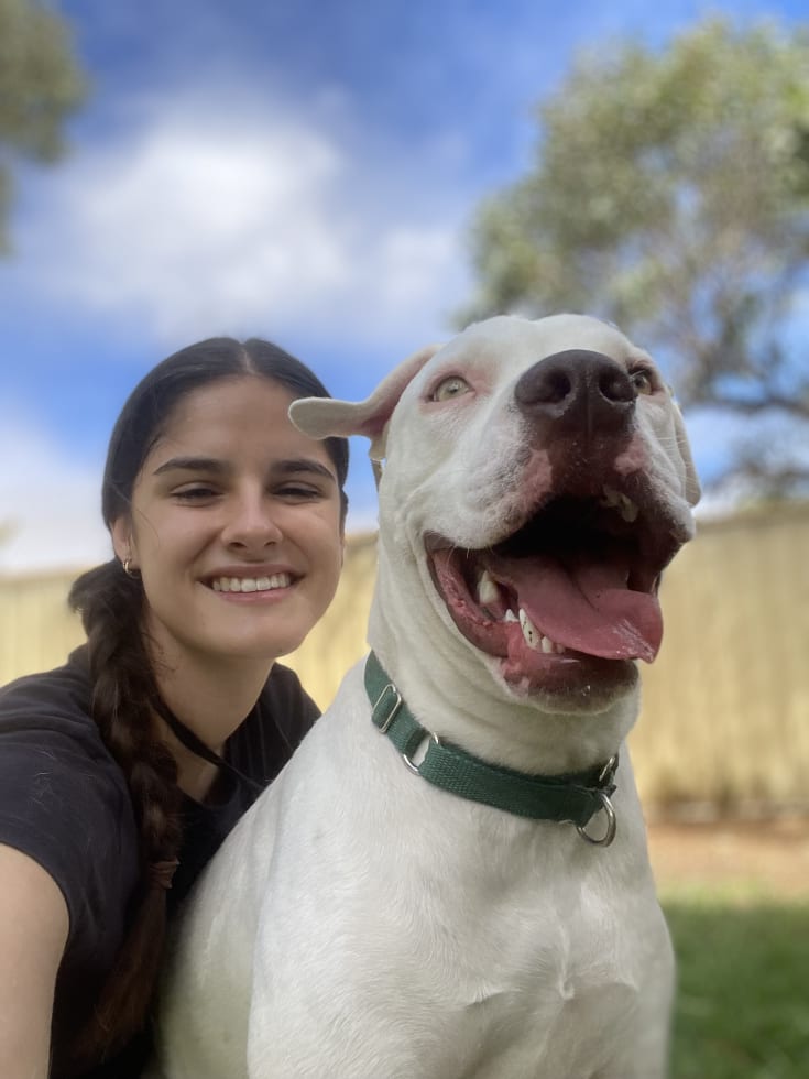 Photo in Sitter's gallery