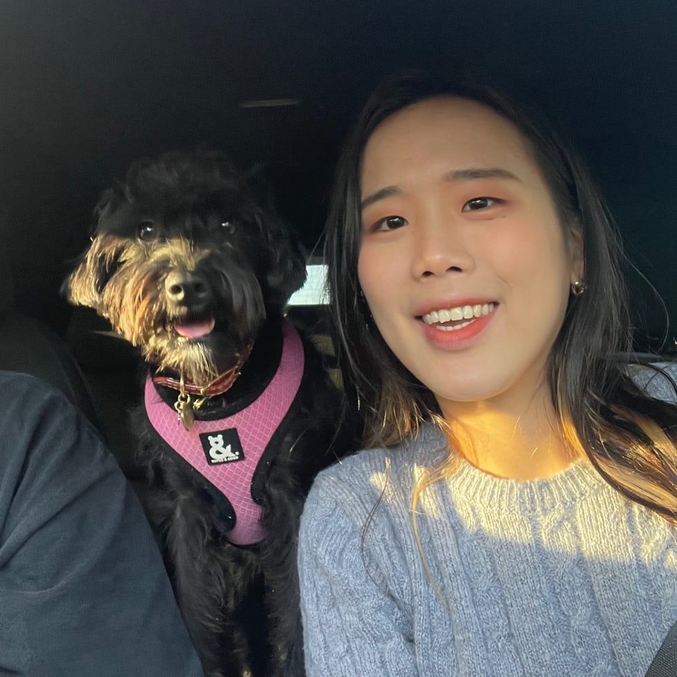 Photo in Sitter's gallery