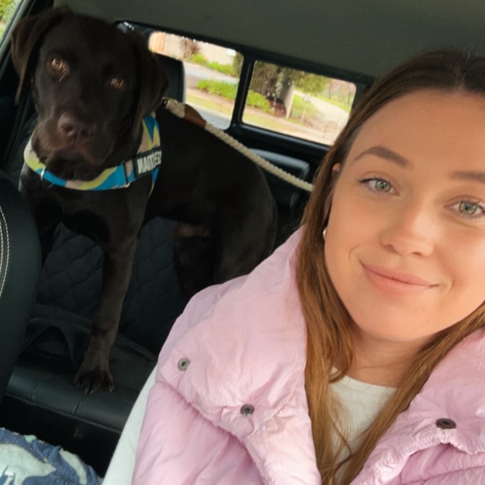 Photo in Sitter's gallery