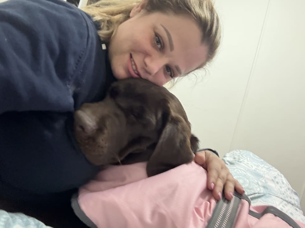 Photo in Sitter's gallery