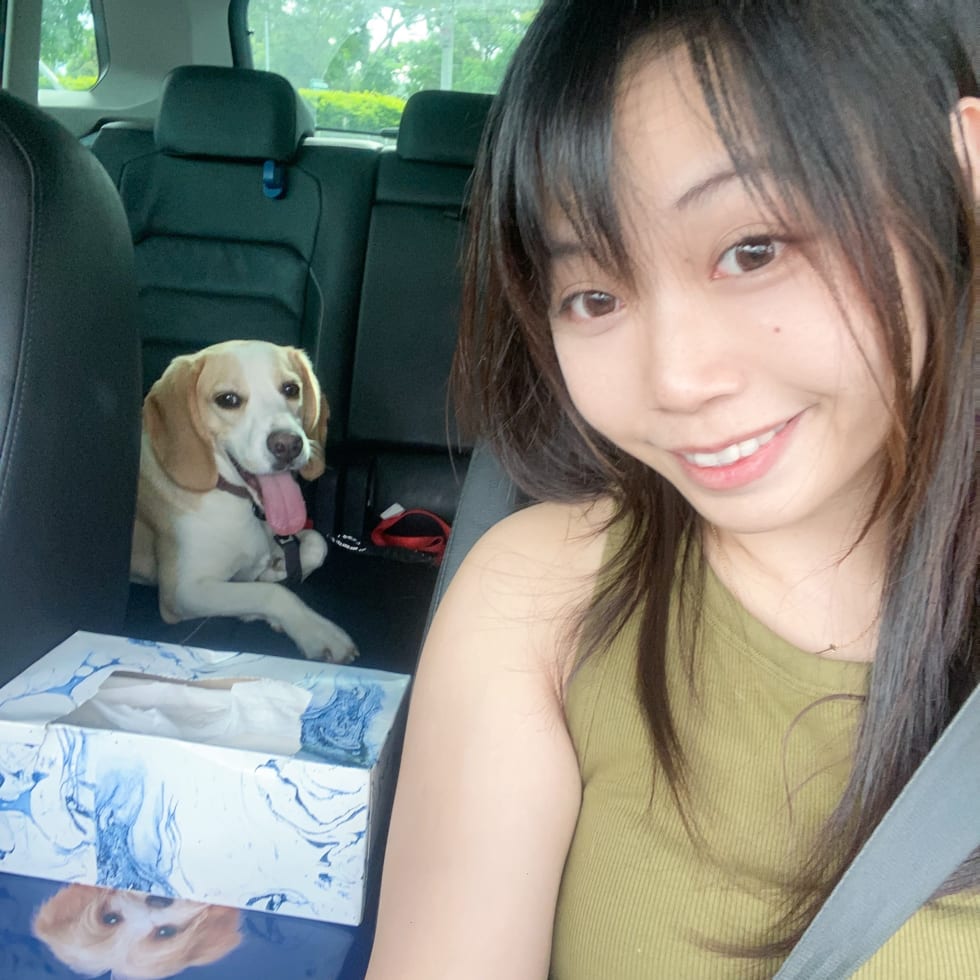 Photo in Sitter's gallery