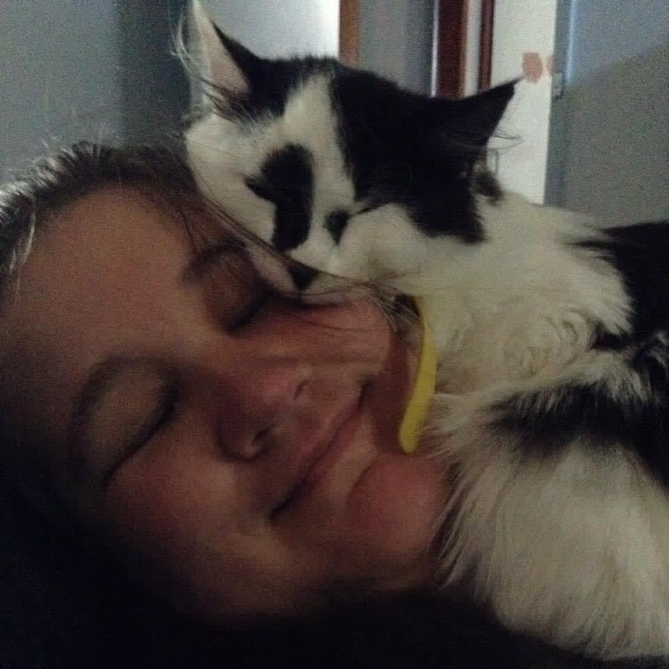 Photo in Sitter's gallery