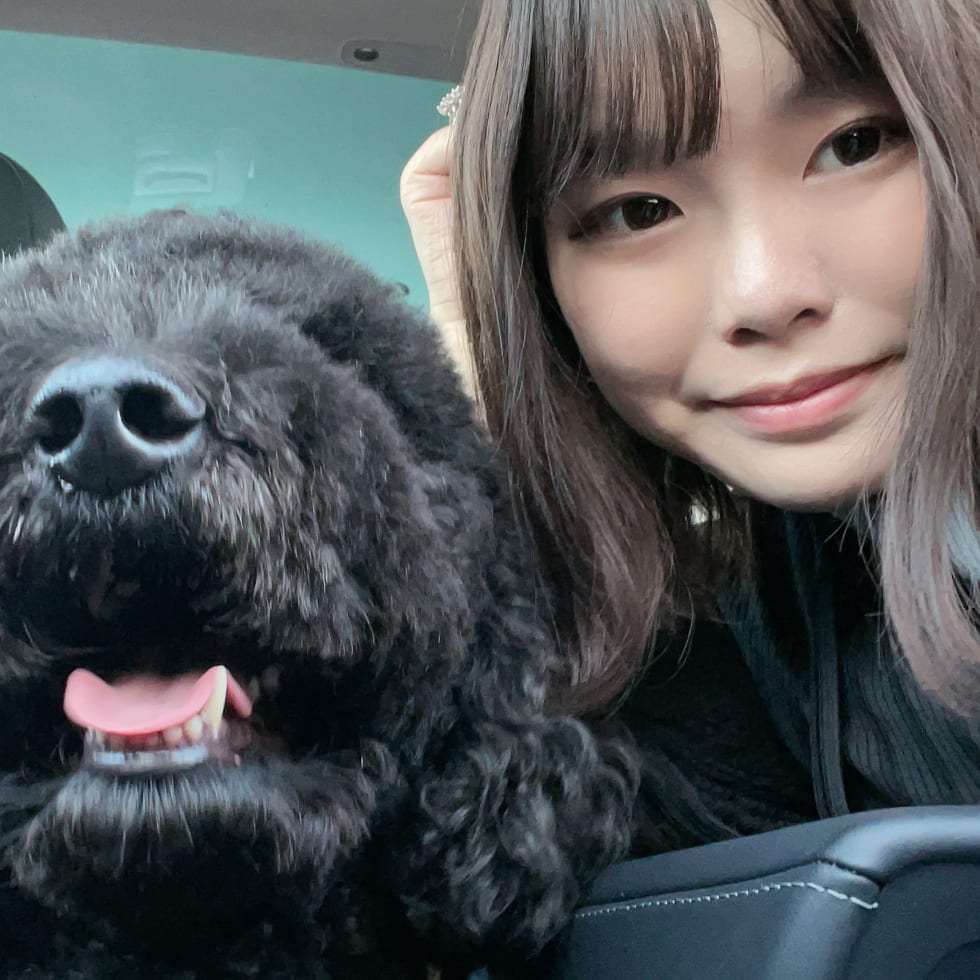 Photo in Sitter's gallery