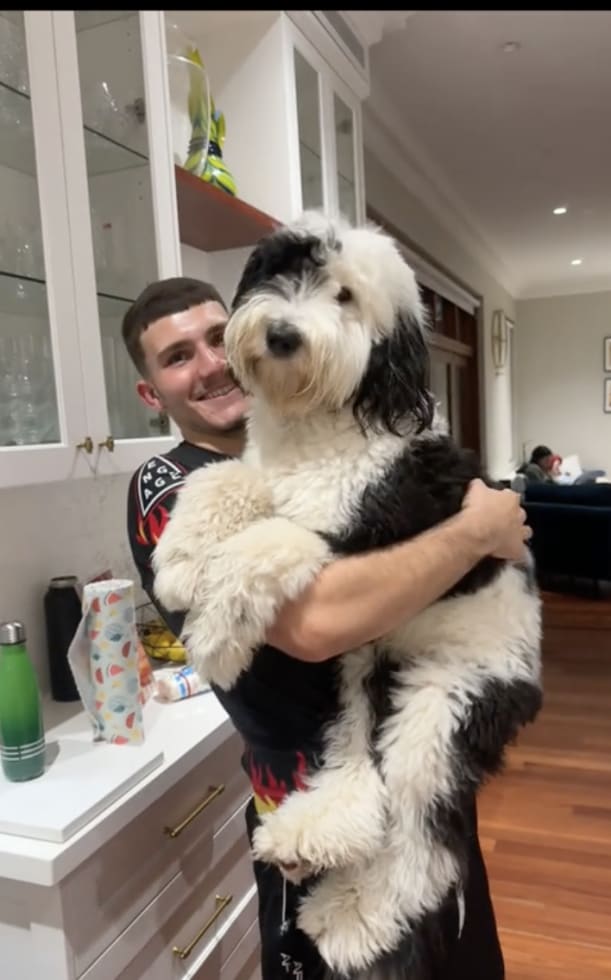 Photo in Sitter's gallery