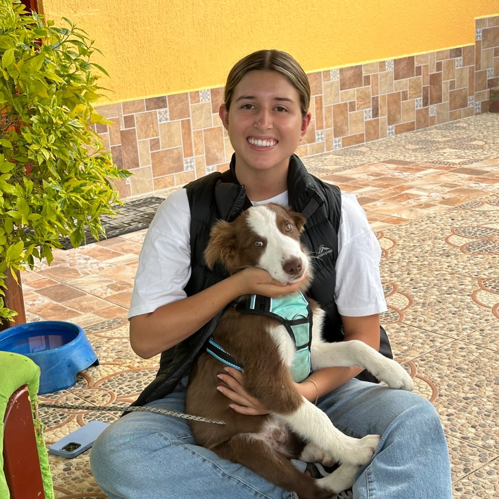 Photo in Sitter's gallery