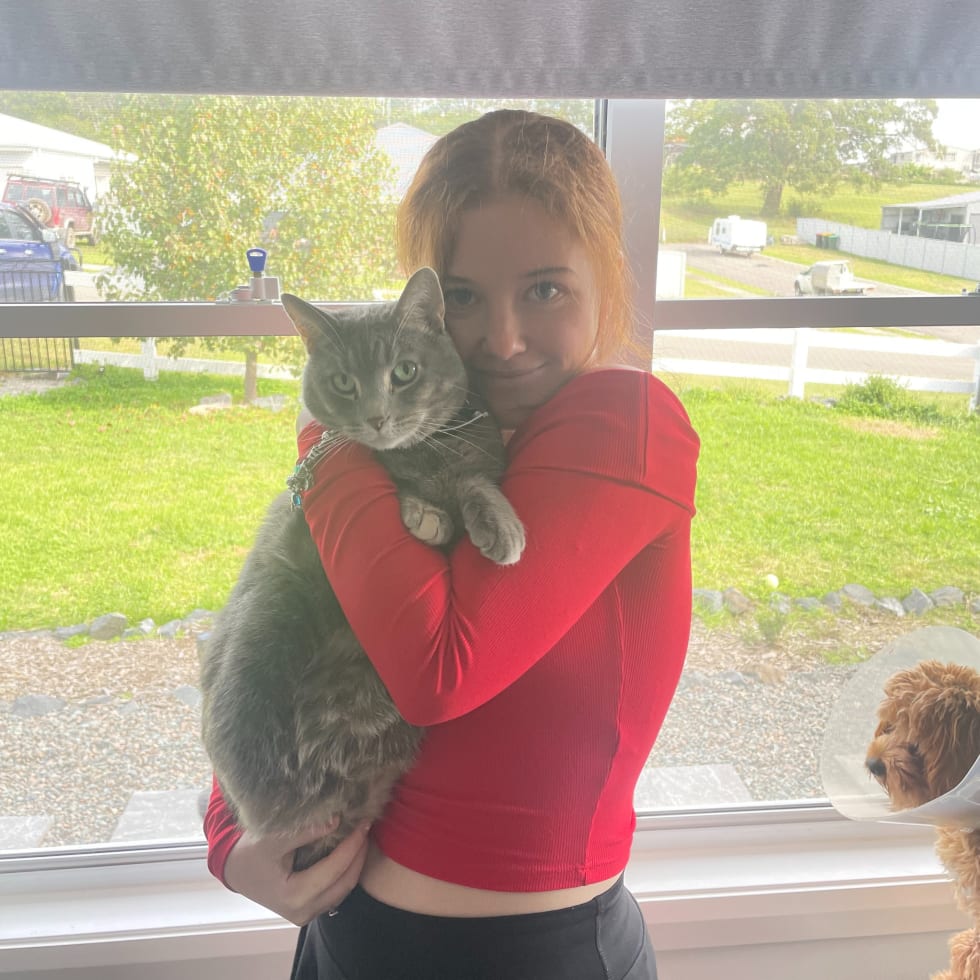 Photo in Sitter's gallery