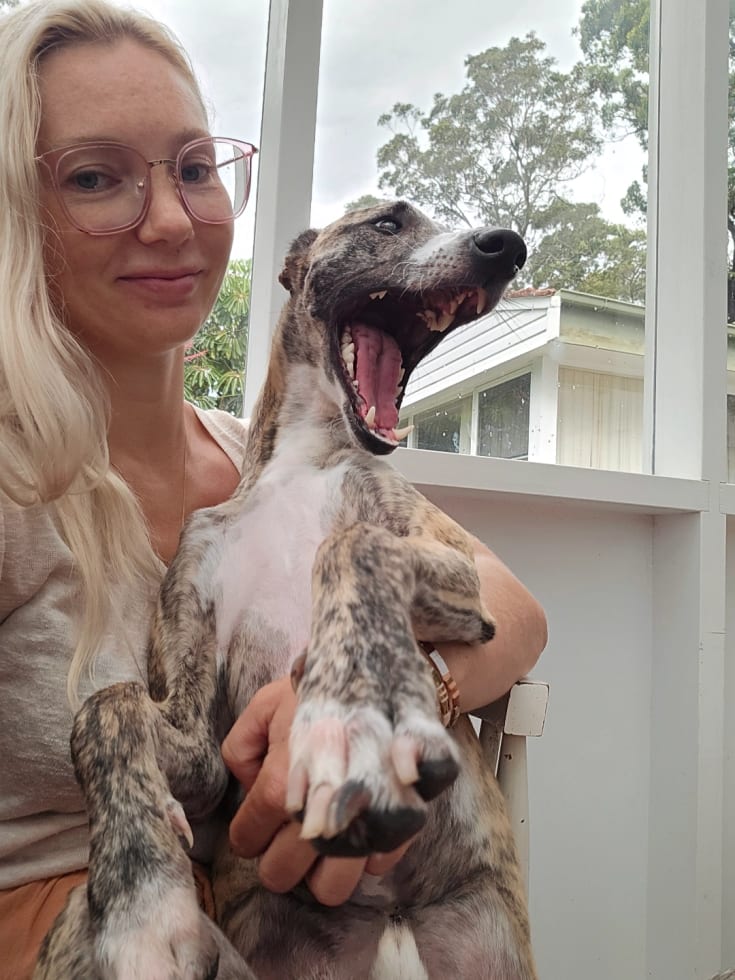 Photo in Sitter's gallery