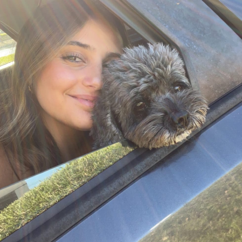 Photo in Sitter's gallery