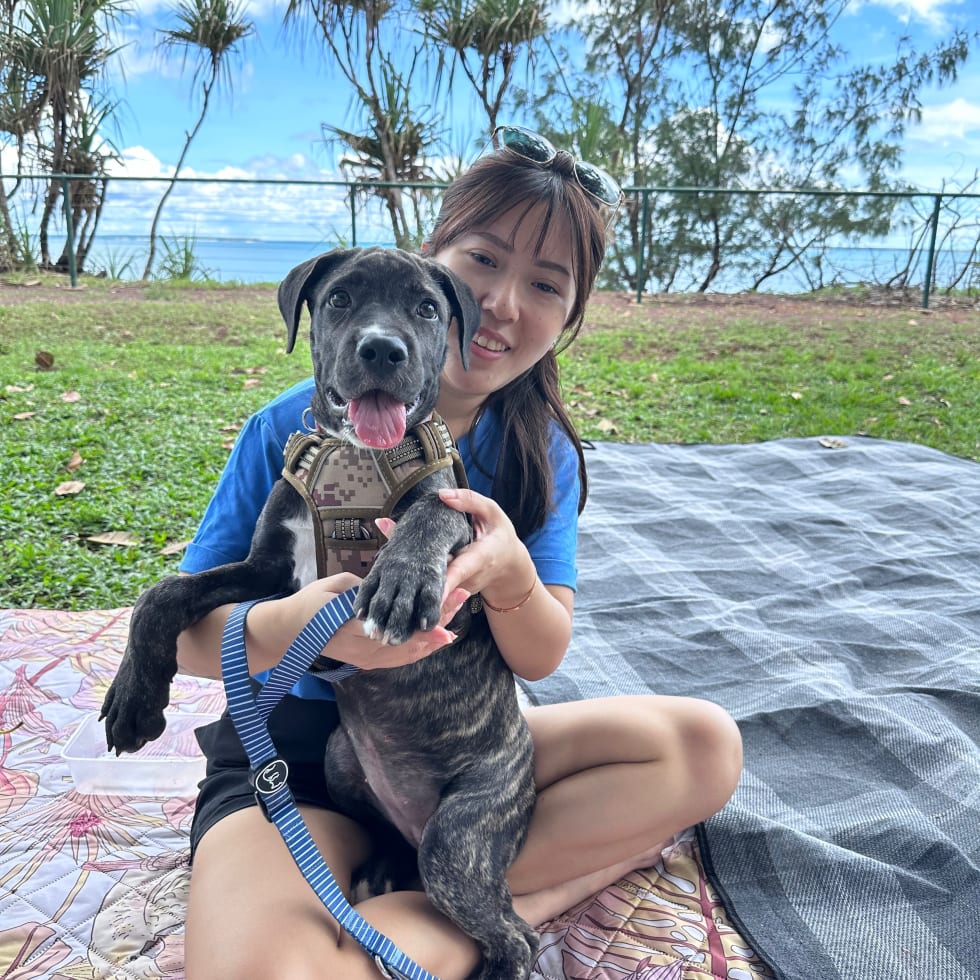 Photo in Sitter's gallery