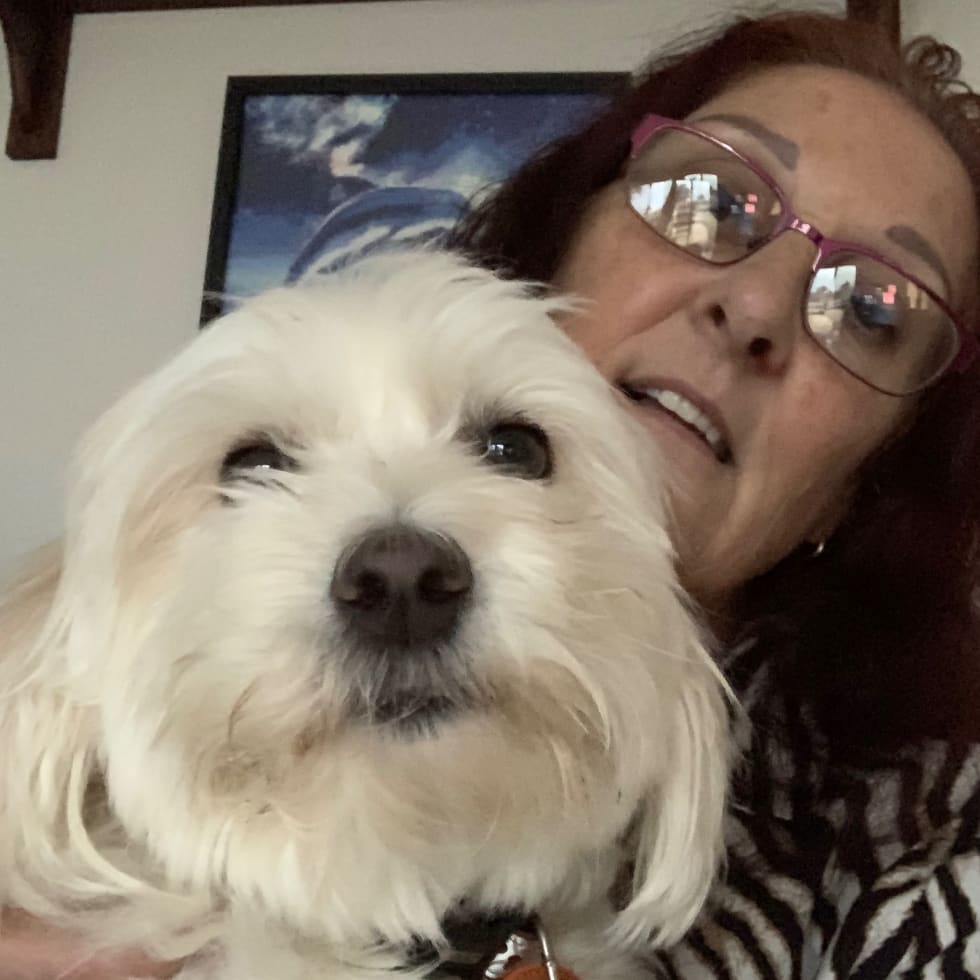 Photo in Sitter's gallery