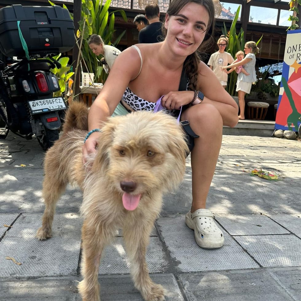 Photo in Sitter's gallery