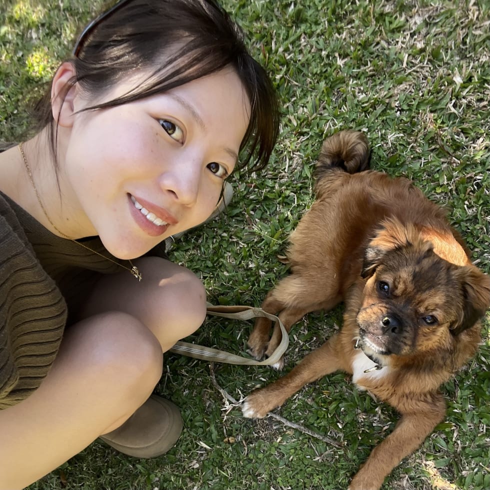 Photo in Sitter's gallery