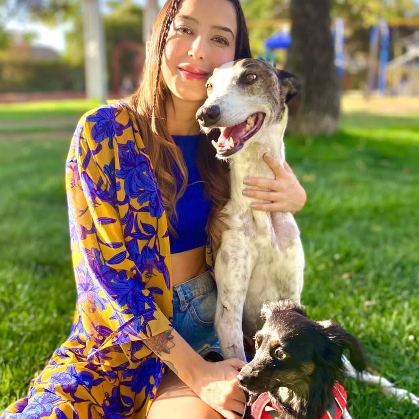 Photo in Sitter's gallery