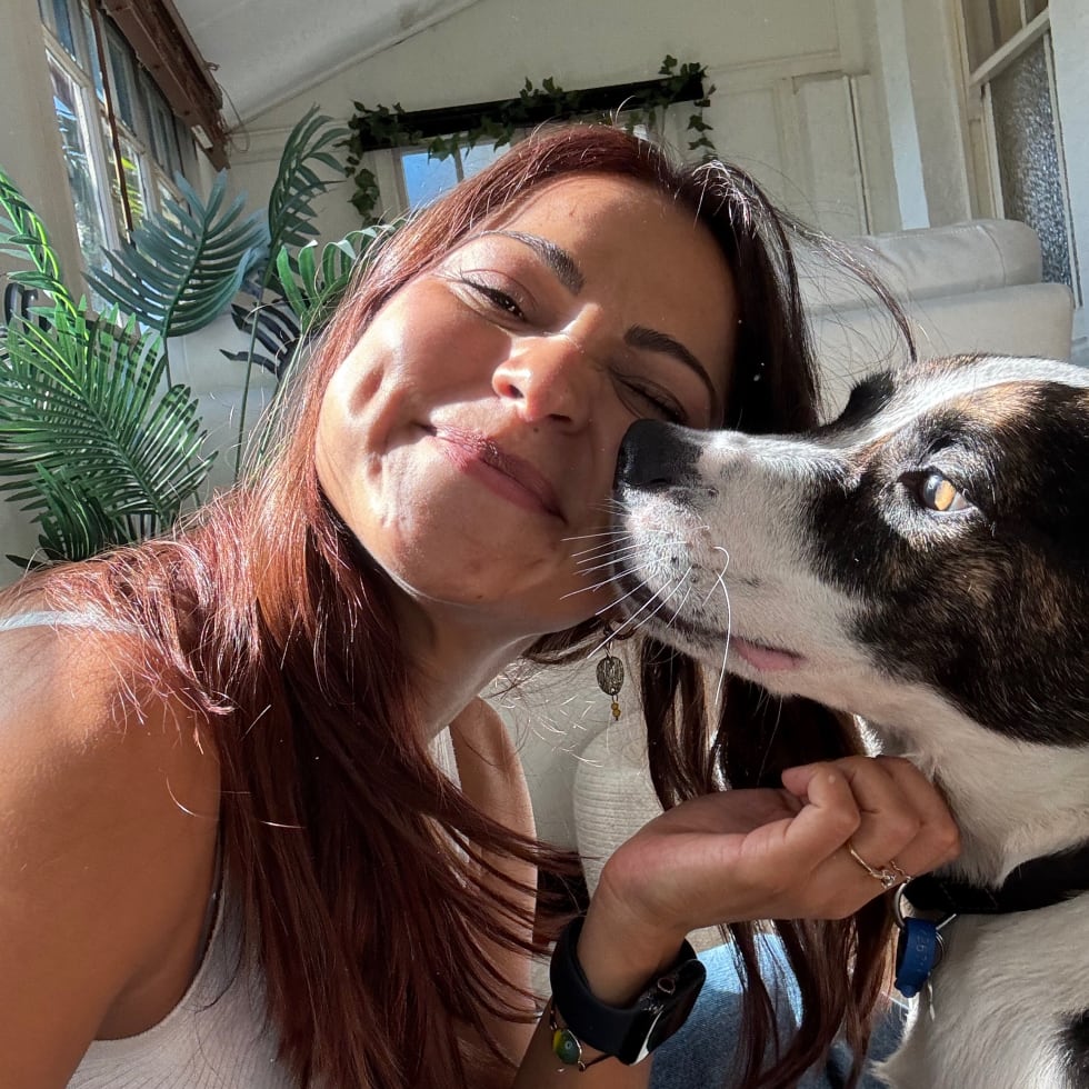 Photo in Sitter's gallery