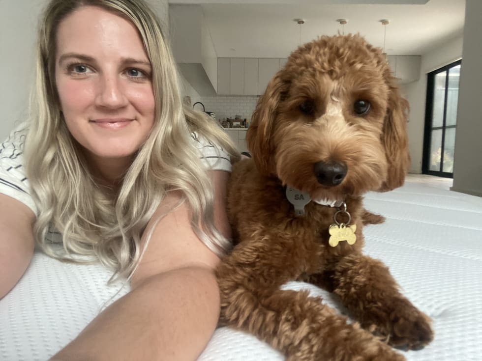 Photo in Sitter's gallery