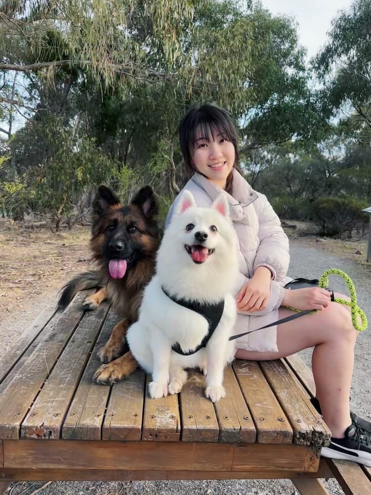 Photo in Sitter's gallery