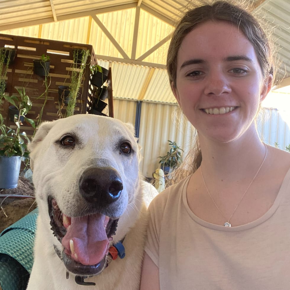 Photo in Sitter's gallery