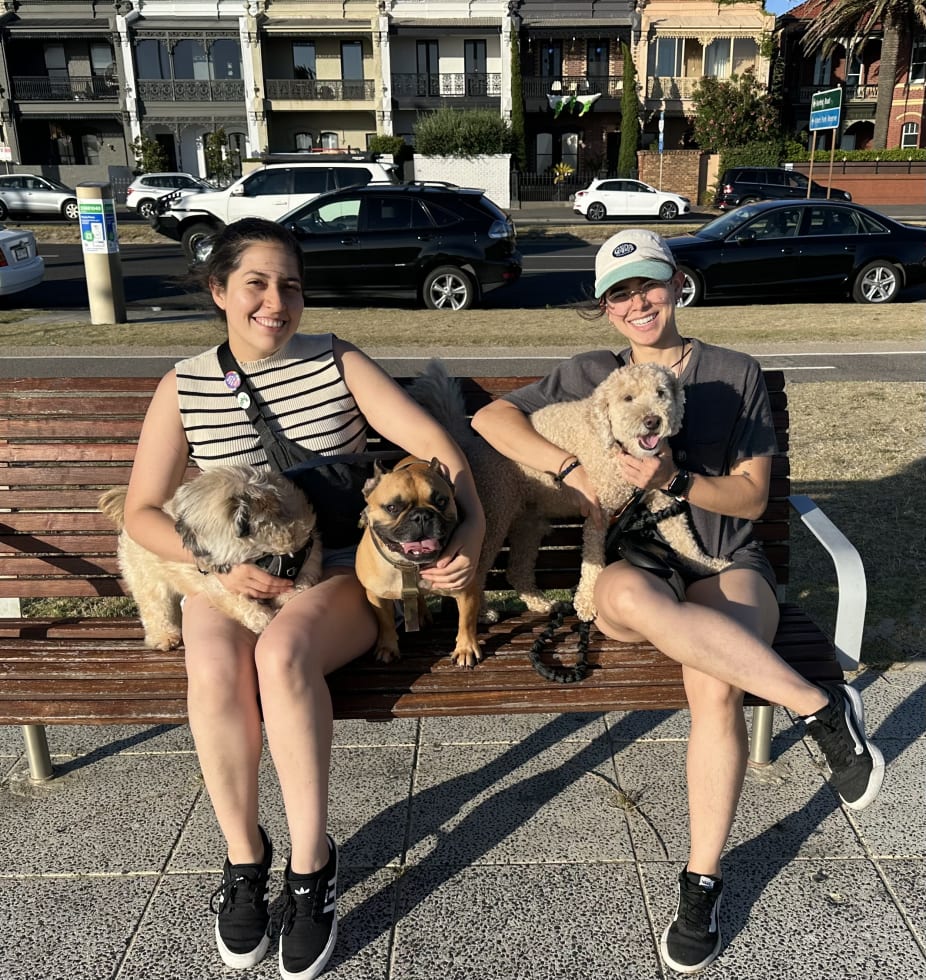 Photo in Sitter's gallery