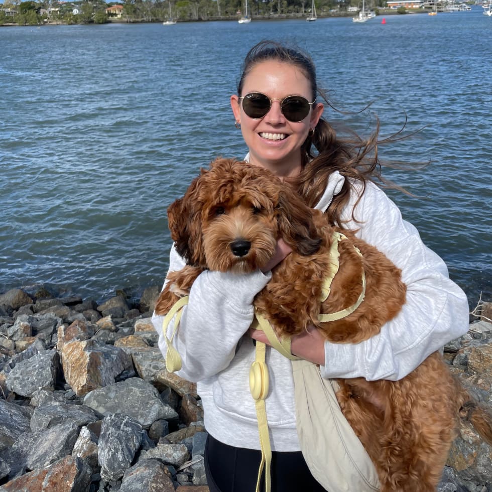 Photo in Sitter's gallery