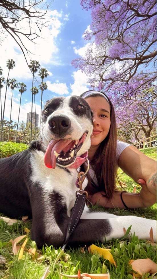 Photo in Sitter's gallery