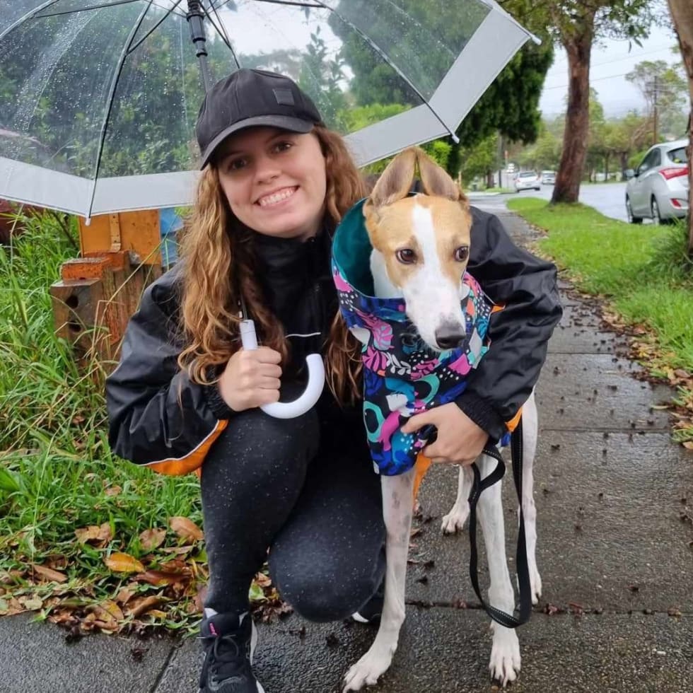 Photo in Sitter's gallery