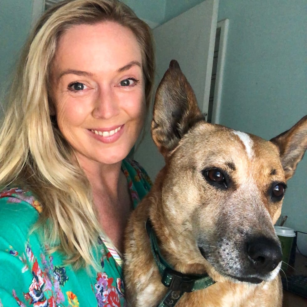 Photo in Sitter's gallery