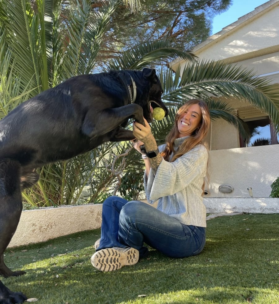 Photo in Sitter's gallery