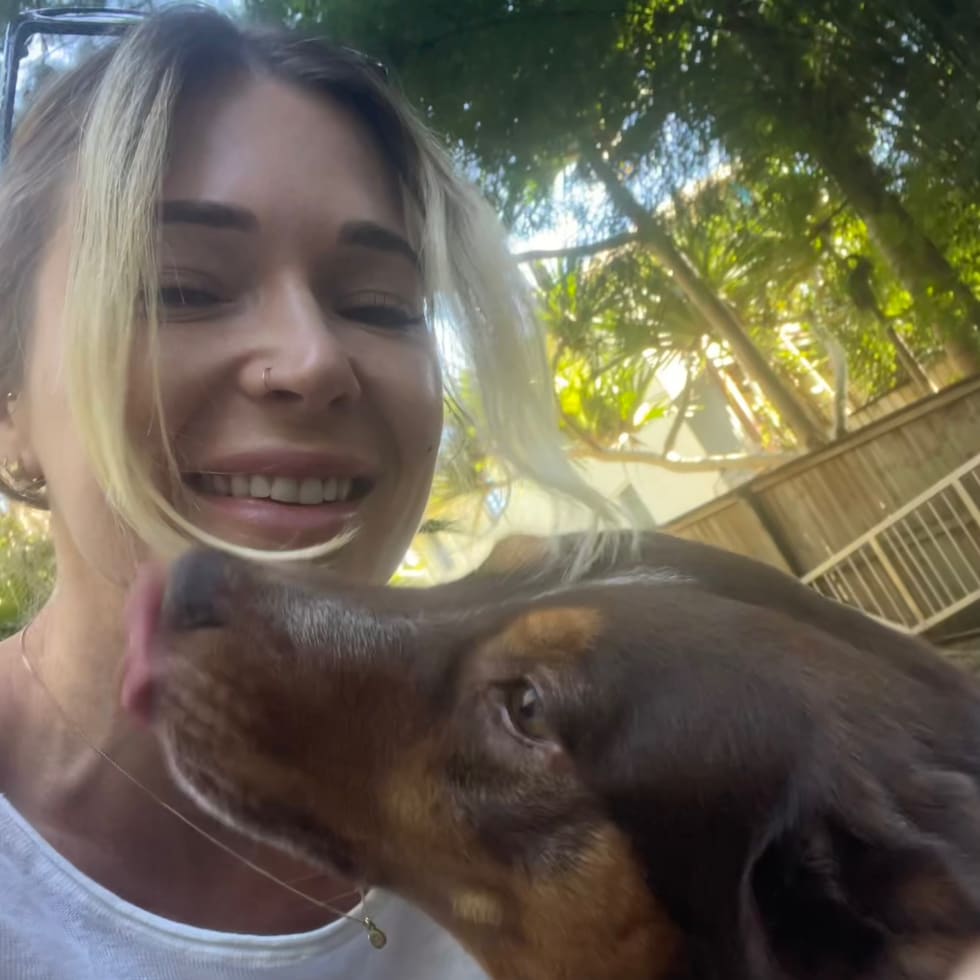 Photo in Sitter's gallery