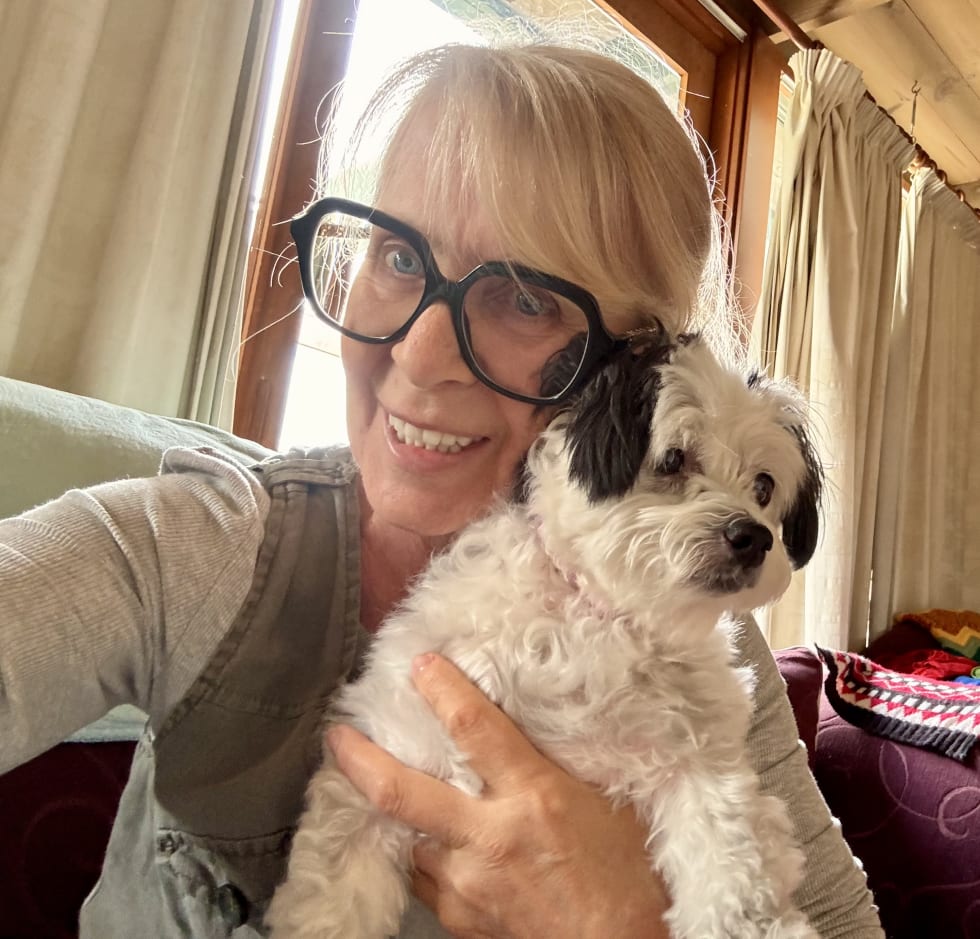 Photo in Sitter's gallery