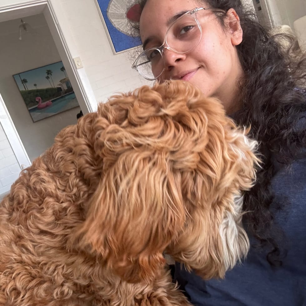 Photo in Sitter's gallery