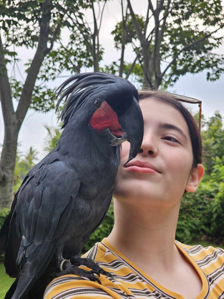 Photo in Sitter's gallery