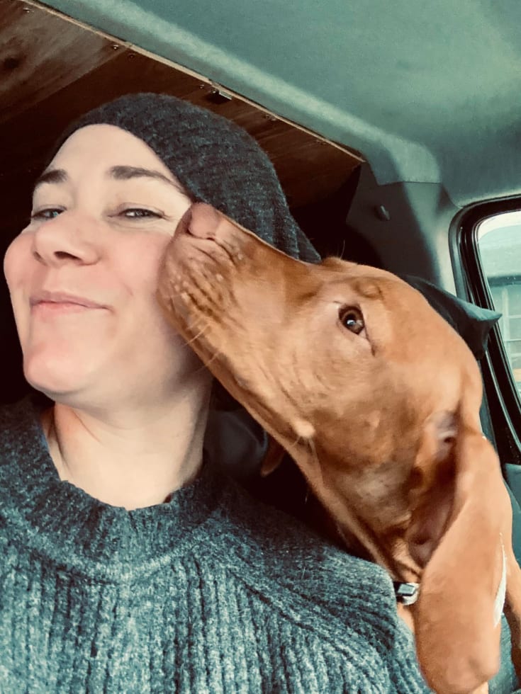 Photo in Sitter's gallery