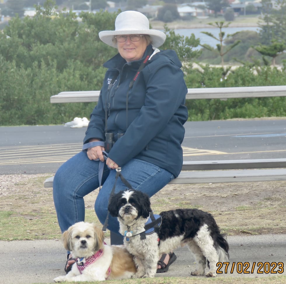 Photo in Sitter's gallery