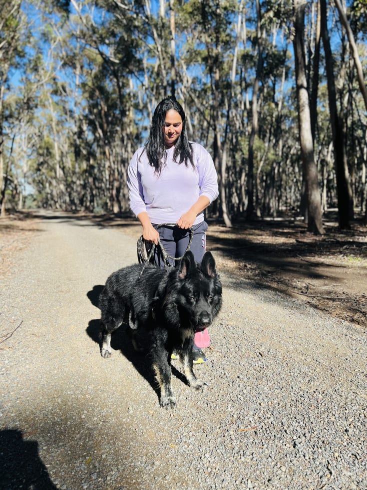 Photo in Sitter's gallery