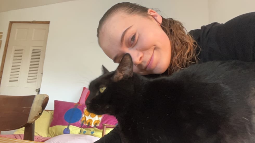 Photo in Sitter's gallery