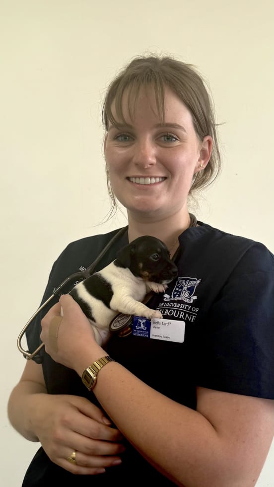 Photo in Sitter's gallery