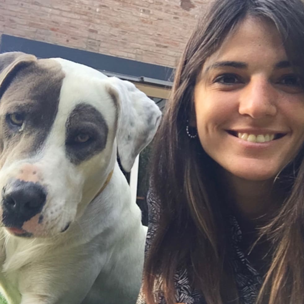 Photo in Sitter's gallery