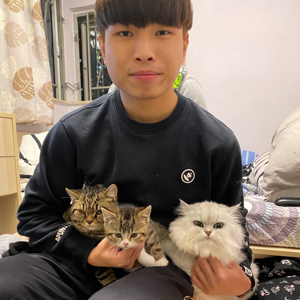 Photo in Sitter's gallery