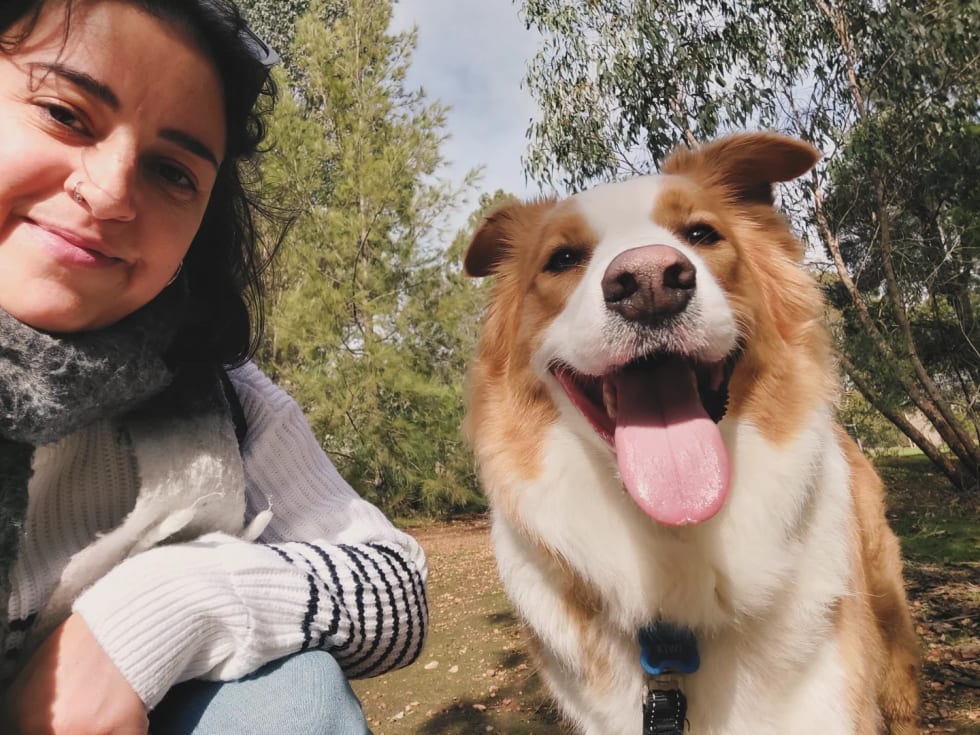 Photo in Sitter's gallery