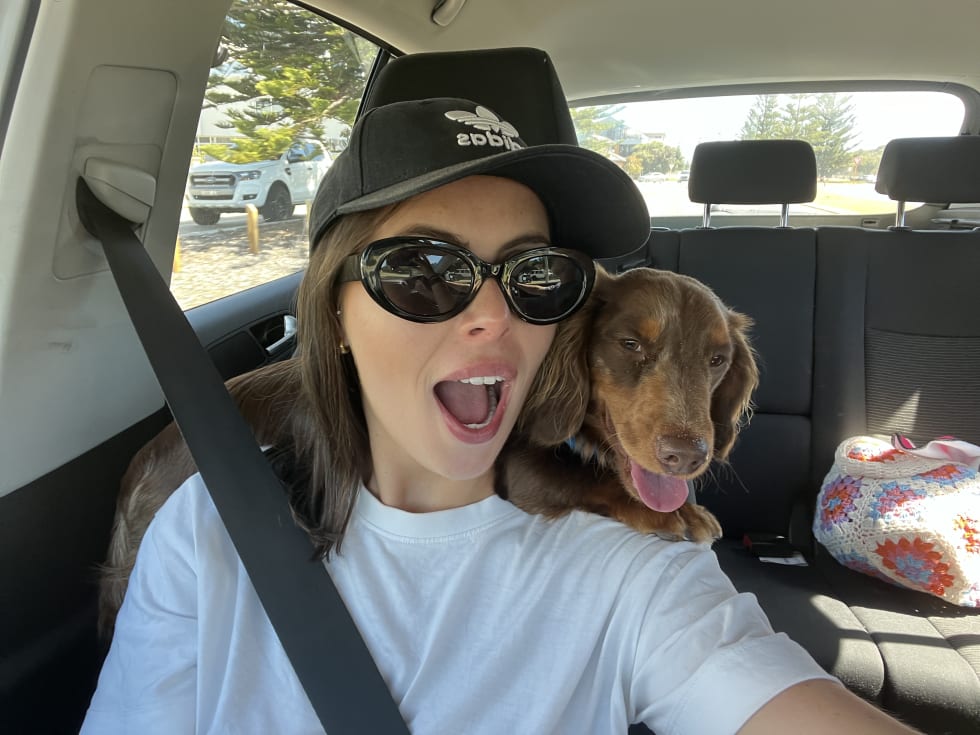 Photo in Sitter's gallery