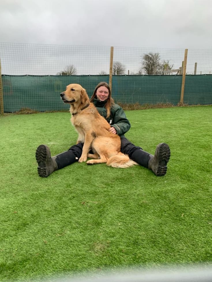 Photo in Sitter's gallery