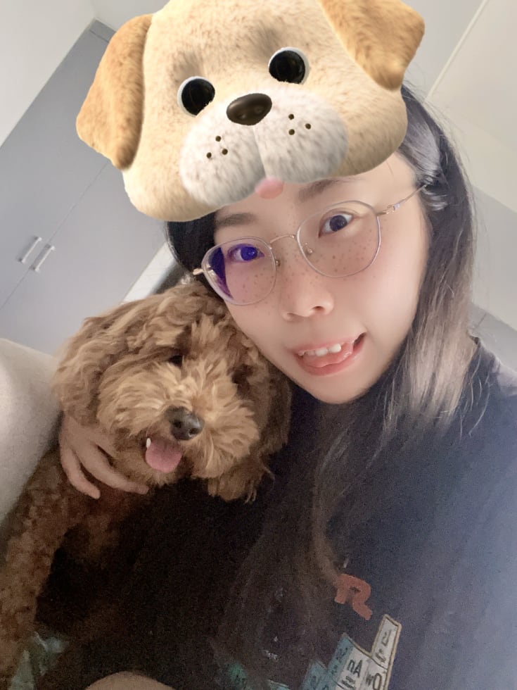 Photo in Sitter's gallery