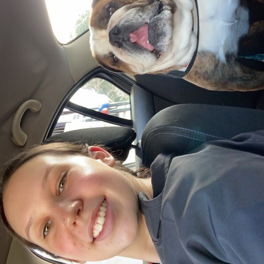 Photo in Sitter's gallery