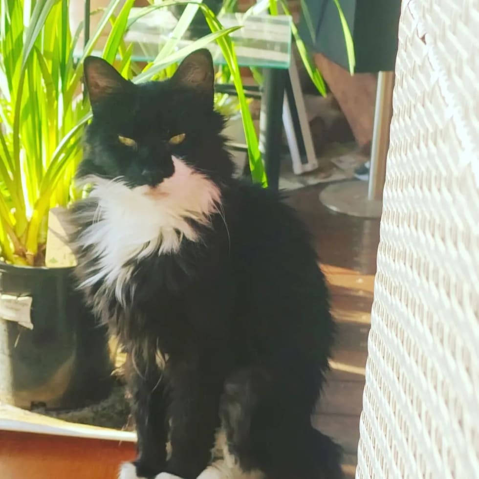 Photo in Sitter's gallery