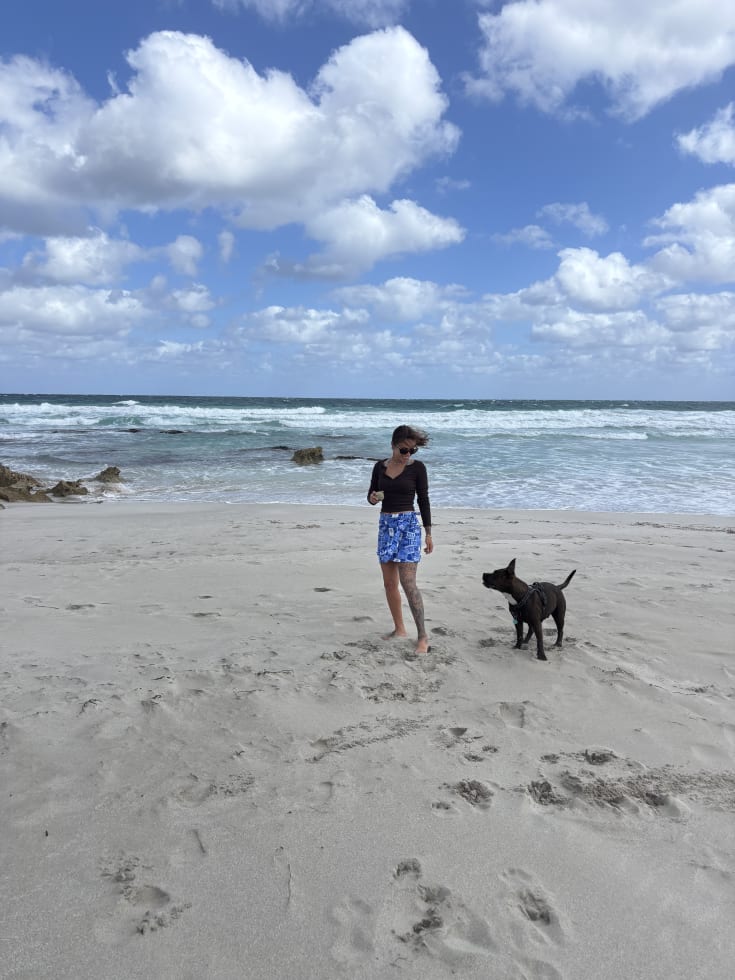 Photo in Sitter's gallery