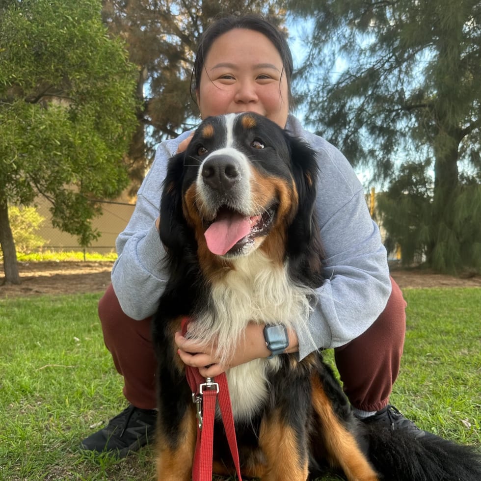 Photo in Sitter's gallery